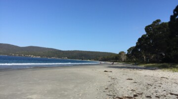 8 adventure bay beach
